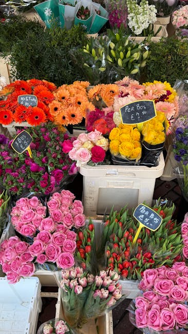 A vibrant display of fresh flowers at Belsize Park flower shop, featuring bouquets of pink roses, red tulips in a glass vase, and yellow chrysanthemums arranged in black buckets. The flowers are arran