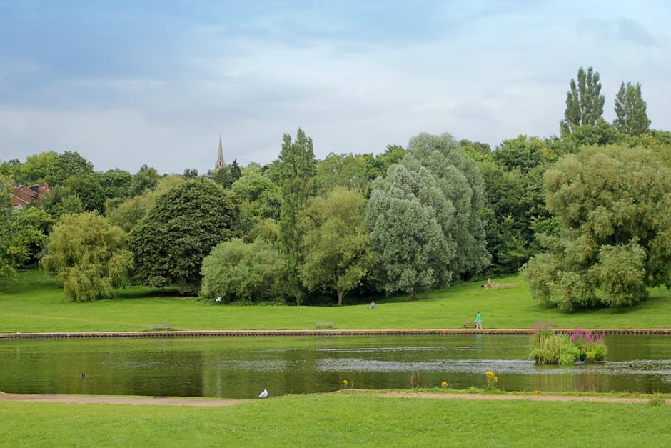 A scenic view of Hampstead Heath with lush green trees of varying shapes and sizes surrounding a small pond. The water reflects the overcast sky and nearby foliage, with some yellow and pink flowers g