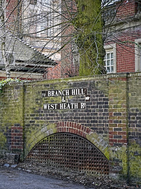 A close-up of a brick wall featuring a street sign for 'Branch Hill & West Heath Rd', with moss and weathering visible on the surface. The sign is mounted above an arched brick vent with a metal grid,